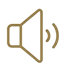 Government by the people