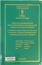 A Vietnamese-American cross-cultural study on greeting customs and their reflection of Hofstede’s five cultural dimensions =
