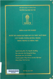 Bước đầu khảo sát một số cấu trúc ngữ pháp có ý nghĩa tương đương trong tiếng Trung và tiếng Việt