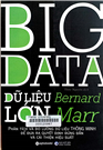Dữ liệu lớn