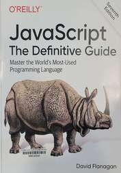 JavaScript the definitive guide master the world's most-used programming language