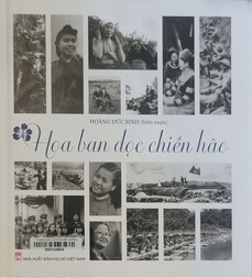 Hoa ban dọc chiến hào