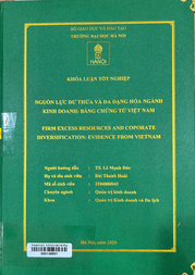 Firm excess resources and corporate diversification evidence from Vietnam =