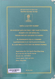 Il confronto tra il turismo gastronomico in Vietnam e in Italia Il caso della città Ho Chi Minh e Napoli =