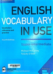 English vocabulary in use
