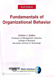 Fundamentals of organizational behaviour
