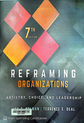 Reframing organizations