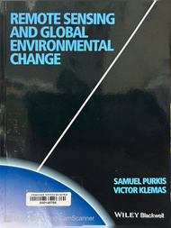 Remote sensing and global environmental change