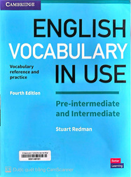 English vocabulary in use